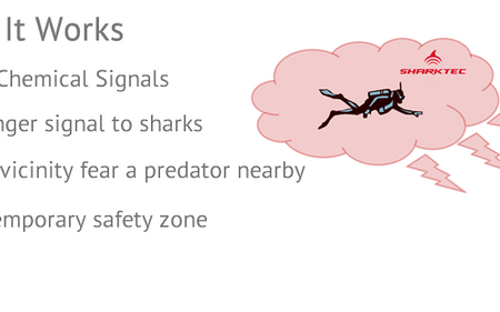 Why SharkTec shark repellent spray targets the most powerful sense of sharks