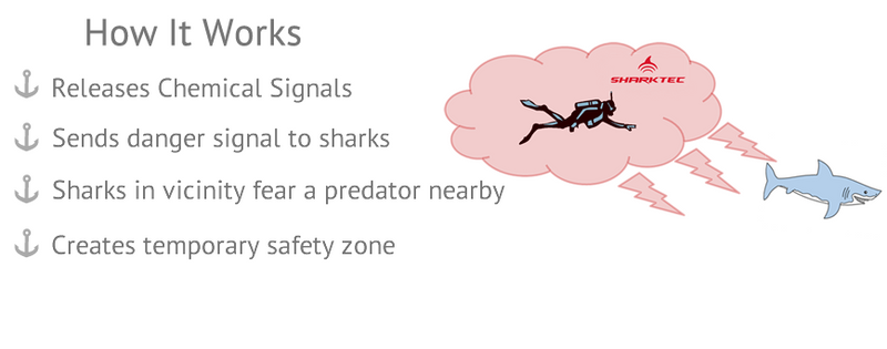 Why SharkTec shark repellent spray targets the most powerful sense of sharks